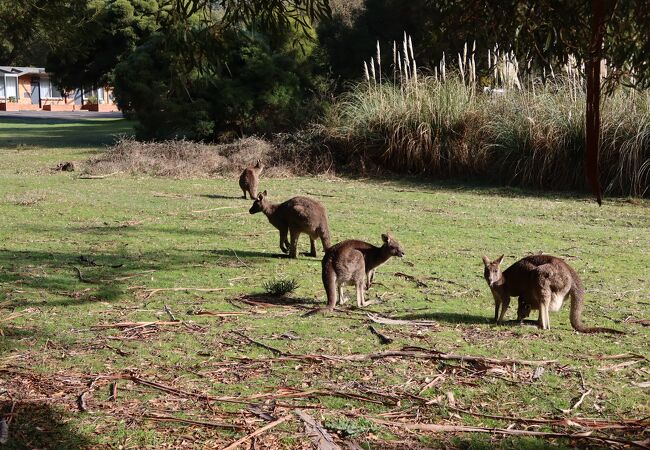 グランピアンズ国立公園