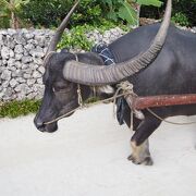 何度でも訪れたい