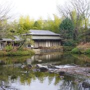 しっかりした日本庭園が整備されていて