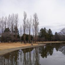 彩の森入間公園