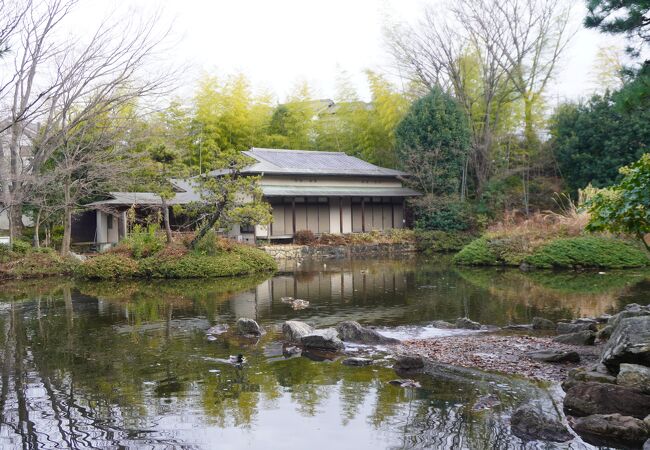 しっかりした日本庭園が整備されていて