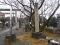 酒見神社