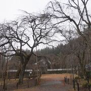 テレビの取材なども
