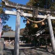 うさぎで溢れる神社