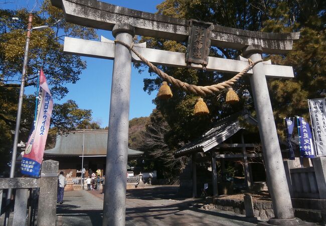 うさぎで溢れる神社