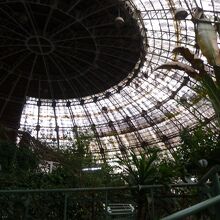 大ドーム