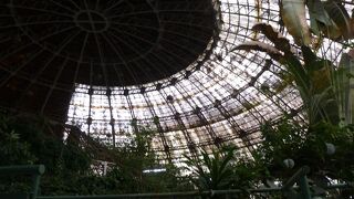 トロピカル・ワンダーランド　草津に行ったら、ここ！