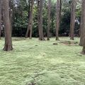 苔の庭園が美しい唐招提寺