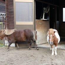 函館公園 こどものくに