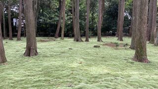 苔の庭園が美しい唐招提寺