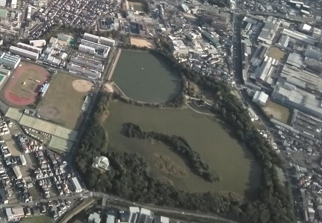 昆陽池公園