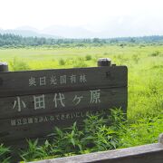 小田代ガ原 クチコミ・アクセス・営業時間｜日光【フォートラベル】