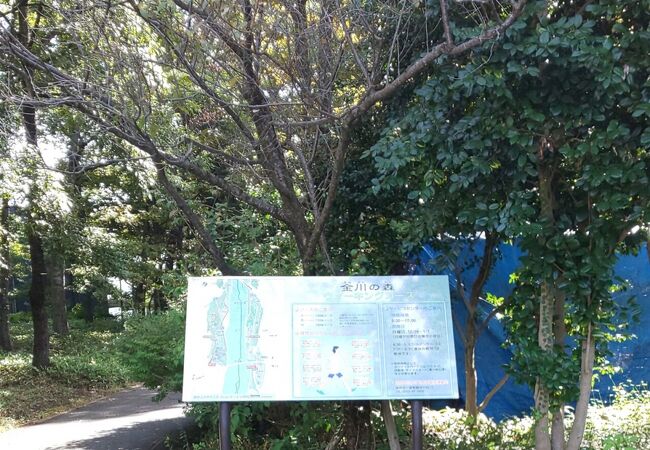 山梨県森林公園金川の森