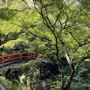 伊香保温泉☆石段街付近を散策　紅葉のときにきたい