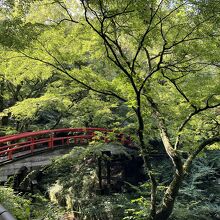 朝の河鹿橋