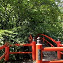 朝の河鹿橋