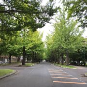 観光客でもはいれる