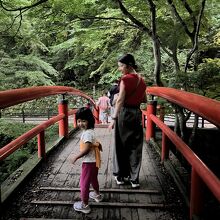 夕方の河鹿橋