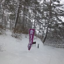 バス停から徒歩10分程