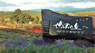 無料なので通りかかりに気軽に行ける　美瑛　ぜるぶの丘　