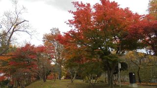 11月は紅葉が綺麗
