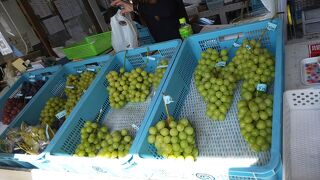 宿沢フルーツ農園