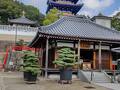中山寺