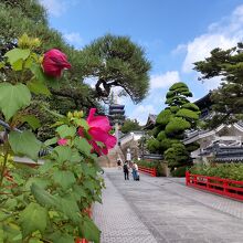 中山寺（参道）