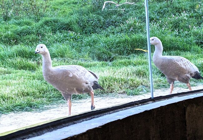 フィリップ島自然公園