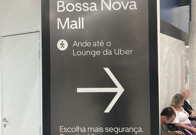 ブラジル国内専用空港