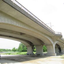 森の橋 広場の橋