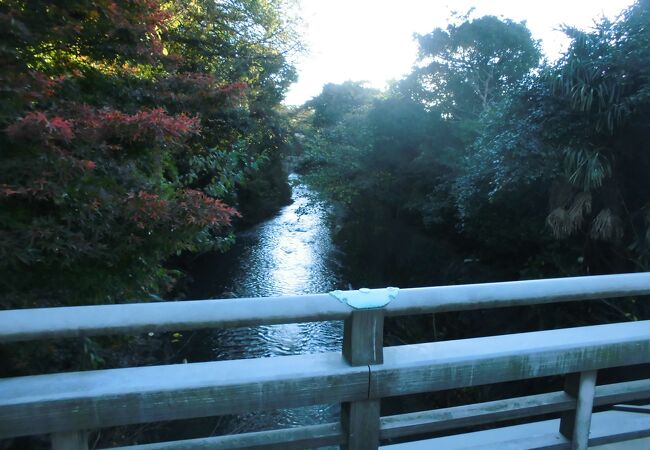 鎌倉市を流れる川