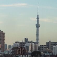 車窓からのスカイツリー