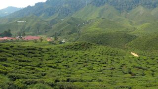 最高の景色　マレーシア随一