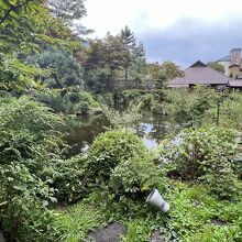 日本庭園を囲むように温泉があります。