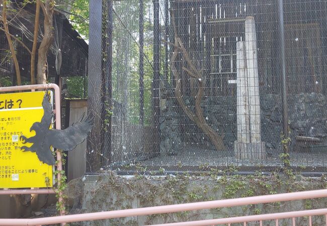 はじめての円山動物園で