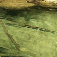 円山動物園 アジアゾーン 熱帯雨林館