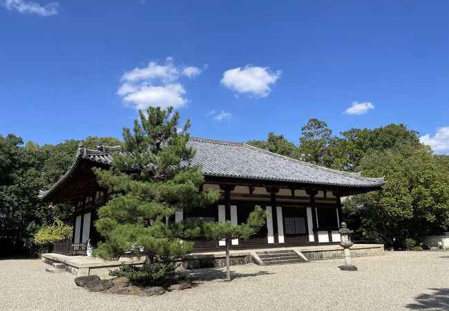 日本で唯一の伎芸天