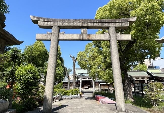 城方向八幡宮(きたむきはちばんぐう) クチコミ・アクセス・営業 城方向八幡宮(きたむきはちばんぐう) クチコミ・アクセス・営業