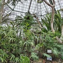 植物園