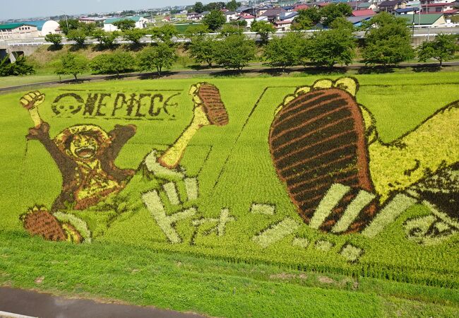 田舎館村 田んぼアート