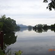 大沼公園に外国人観光客の団体が来ていました。