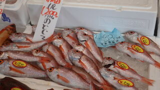 飛行機に乗る前に、新潟の鮮魚を購入しました ♪