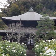 鎌倉の奥地の寺院でした。