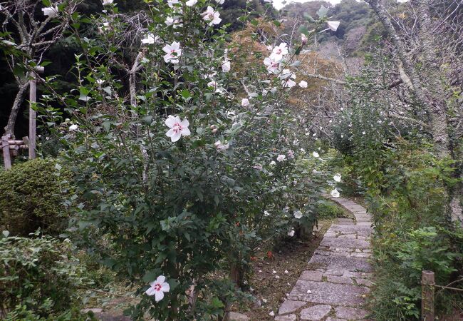 花が好きな方にお勧めです。