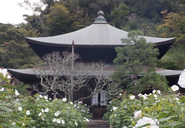 鎌倉の奥地の寺院でした。