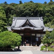 手水舎の水は、何と温泉