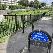 夏の日に野川を散歩