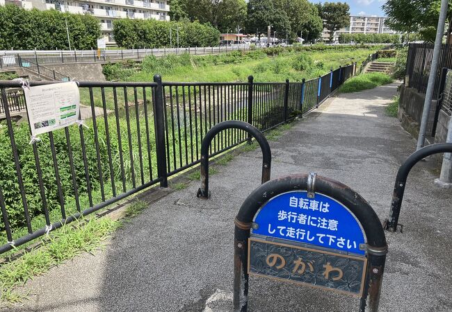 夏の日に野川を散歩