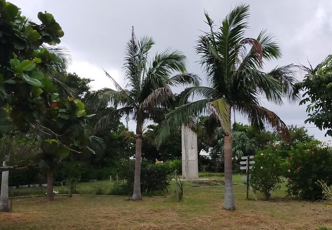 離島タ一ミナル前の公園